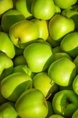 organik yeşil elma