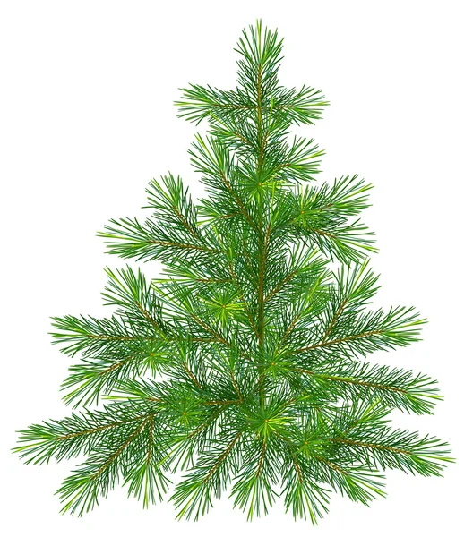Christmas tree, realistic vector illustration — Stock Vector