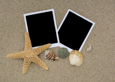 Kabukları ve deniz yıldızı ile kum plajda iki fotoğraf