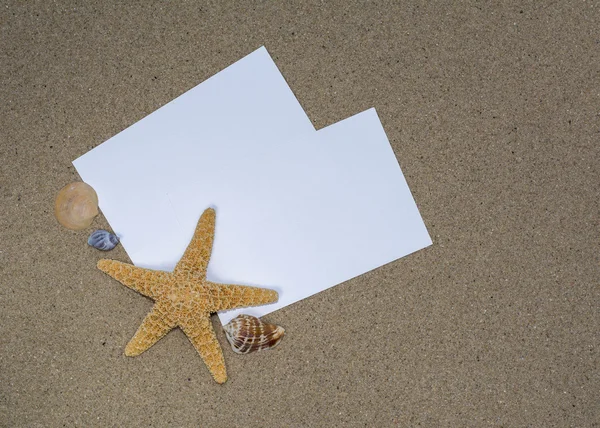 Conchiglie e stelle marine su una sabbia — Foto Stock