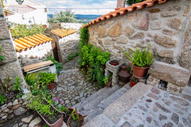 Belmonte, Portekiz; Mayıs 2017: Portekiz 'in Belmonte kentinde bitki ve çiçeklerle dolu geleneksel ev