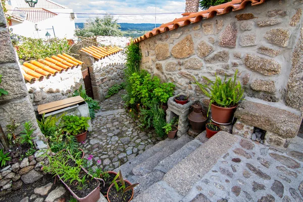 Belmonte, Portekiz; Mayıs 2017: Portekiz 'in Belmonte kentinde bitki ve çiçeklerle dolu geleneksel ev