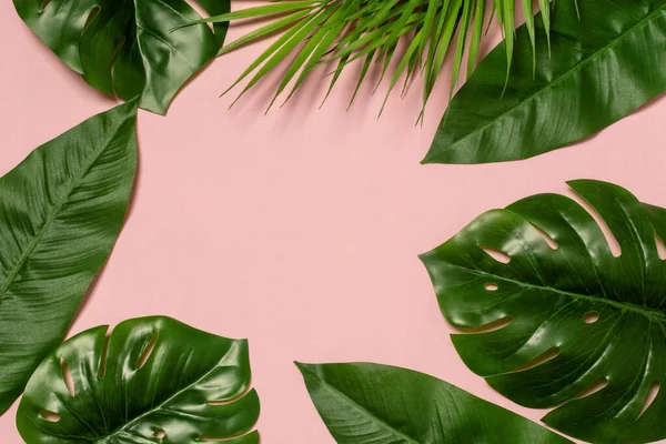 Tropical frame with green exotic leaves plants on pink background.