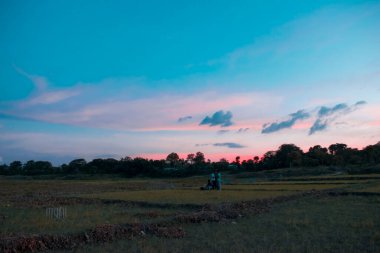 Sunset landscape with blue and red gradient sky with clouds on a green field