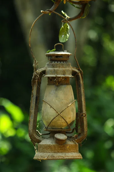 Old Broken Rusted Lantern Hanging Branch Forest — Stock Photo, Image