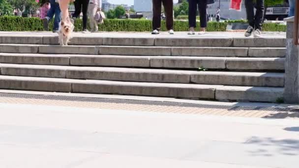 Софія (Болгарія) 5 червня 2021 року: люди піднімаються і спускаються кам "яними сходами по людній вулиці. — стокове відео