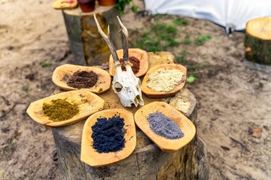 Ahşap tabaklardaki zemin baharatları çeşitliliği, ev yapımı.