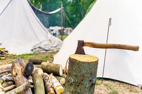 An axe stuck in the stump of a tree with chopped logs — Stock fotografie