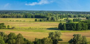 Tarımsal tarlalarda, rüzgâr tarlalarında, rüzgâr tarlalarında, Almanya ile Polonya arasındaki ülke sınırlarında saman yaprakları olan kırsal arazi, panorama