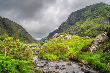 Güzel yeşil dağ vadisinde küçük bir dere, Dunloe Geçidi, Kara Vadi 'deki dik tepeler arasında ilerliyor, Kerry County, İrlanda