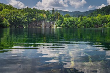 Batık ağaç gövdeleri ve şelaleler gölde yansıması olan, Plitvice Gölleri