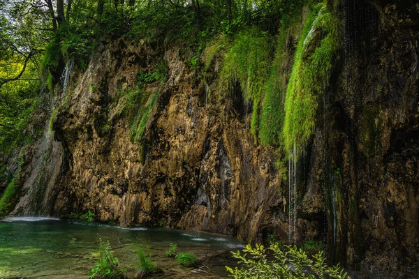 Смуги води, що стікають з лишайників, прикріплених до високих скель або водоспадів у Плітвіце - озерах. — стокове фото