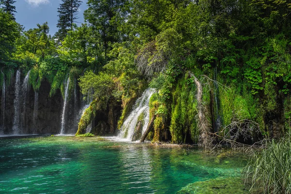 Waterfalls with water coming down from lichens to turquoise coloured lake in Plitvice Lakes — Stock Photo, Image