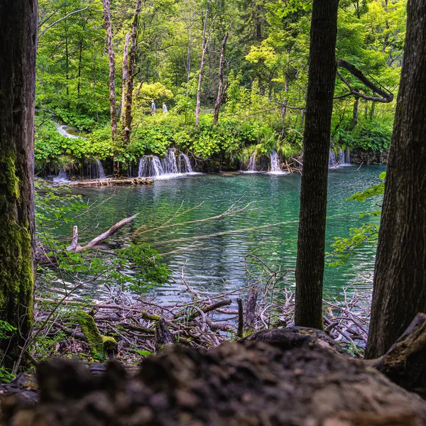 Туристи спостерігають за чудовими водоспадами, озерами та зеленими буйними лісами в озерах Плітвіка. — стокове фото