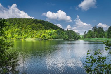 Hırvatistan 'ın UNESCO Dünya Mirası' ndaki Plitvice Gölleri Ulusal Parkı 'nda güneş ışığıyla aydınlatılan ağaç dalları ve yeşil ormanla çerçevelenmiş göl