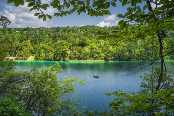 Lago Bote Remos Enmarcados Por Ramas Árboles Bosques Verdes Iluminados —  Fotos de Stock
