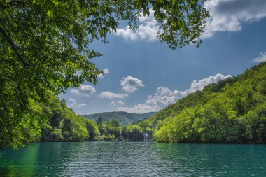 Turkuaz gölü ve şelaleler, bereketli ormanlardaki dallar, Plitvice Gölleri Ulusal Parkı UNESCO Dünya Mirası, Hırvatistan 'da güneş ışığıyla aydınlanıyor.