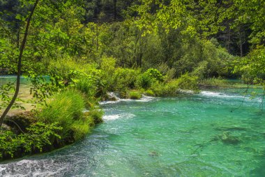 Teraslı, turkuaz renkli göller ve yeşil yosunlu kayaları çevreleyen şelaleler. Plitvice Lakes Ulusal Parkı UNESCO Dünya Mirası, Hırvatistan