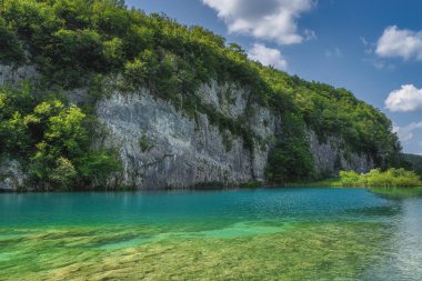 Altında temiz turkuaz renkli göl olan yeşil ağaçlarla kaplı yüksek uçurum. Plitvice Lakes Ulusal Parkı UNESCO Dünya Mirası, Hırvatistan