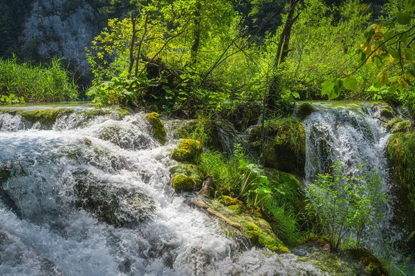 Одяг Мохових Скелях Оточених Водоспадом Каскадами Води Зелених Буйних Лісах — стокове фото