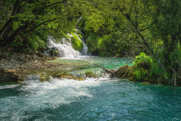 Маленький Водоспад Освітлений Сонячним Світлом Деревами Схиляються Над Ним Зелений — стокове фото