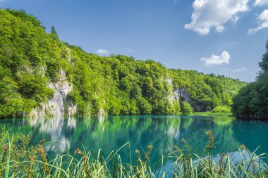 Turistler, turkuaz göl ve yüksek uçurum manzaralı ağaçların altındaki patikada yürüyorlar. Plitvice Lakes Ulusal Parkı UNESCO Dünya Mirası, Hırvatistan