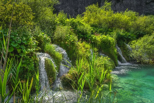 Каскади Води Стікають Озеро Бірюзового Кольору Оточені Зеленим Лісом Plitvice — стокове фото