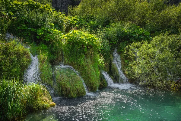 Маленькі Водоспади Оточені Високою Травою Стікає Озеро Бірюзового Кольору Plitvice — стокове фото