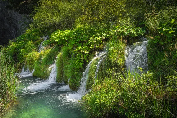 Каскади Води Оточені Високою Травою Падають Бірюзове Озеро Plitvice Lakes — стокове фото