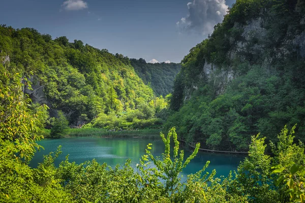 Magas Szikla Völgy Türkiz Színű Unesco Világörökség Részét Képező Plitvicei — Stock Fotó