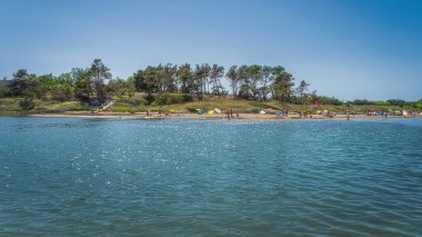 Kraljicina sahilinin yanındaki çam ağaçlarından oluşan küçük bir vaha. Turistler dinleniyor ve güneşleniyor. Hırvatistan 'ın Nin kenti yakınlarındaki Adriyatik Denizi kıyısı