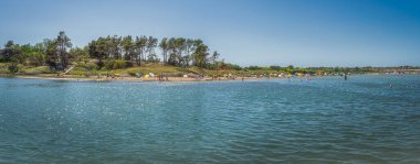 Kraljicina plajının yanında küçük çam ağaçları olan ve turistlerin dinlenip güneşlendiği bir panorama. Hırvatistan 'ın Nin kenti yakınlarındaki Adriyatik Denizi kıyısı