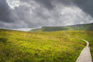 Yeşil tepeler ve Cuilcagh Dağı 'na giden bataklık arasındaki tahta kaldırım.