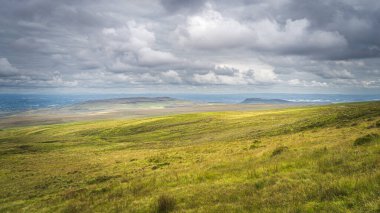 Uzun çimenli yeşil çayır ya da bataklık, güneş ışığıyla aydınlatılmış, Cuilcagh Dağı Parkı