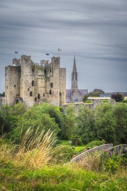 Eski, harap Trim Kalesi ve St. Patricks Katolik Kilisesi arka planda Trim köyü, Meath ilçesi, İrlanda