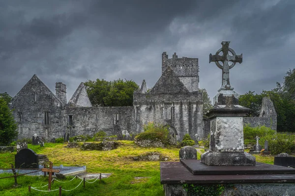 15. yüzyıl Muckross Abbey, Killarney Ulusal Parkı, Kerry, İrlanda 'sının Kelt haç mezar taşı ve kalıntılarına sahip antik mezarlık
