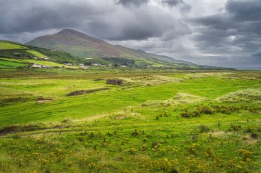 Slieve Mish Dağları ve Inch Beach 'in kumullarından görülen yeşil çayır Vahşi Atlantik Yolu' nun manzaralı bir bölümü, dramatik fırtına gökyüzü, Dingle, Kerry, İrlanda