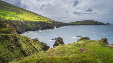 Dunquin İskelesi, Vahşi Atlantik Yolu, Kerry, İrlanda yakınlarındaki Dingle yarımadasının yüksek kayalıkları ve adalarıyla çevrili güzel bir koy.