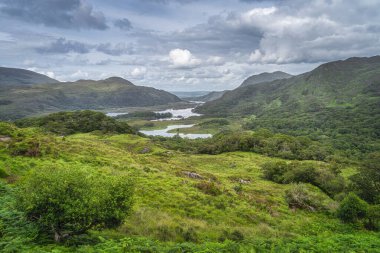 Bayanların manzarasında ağaçları, çayırları ve dağları aydınlatan güneş ışığı parçaları.