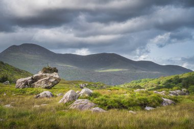 MacGillycuddys 'deki güneş ışığıyla aydınlatılan devasa kayalar, çayırlar ve ormanlarla dolu engebeli bir arazi.
