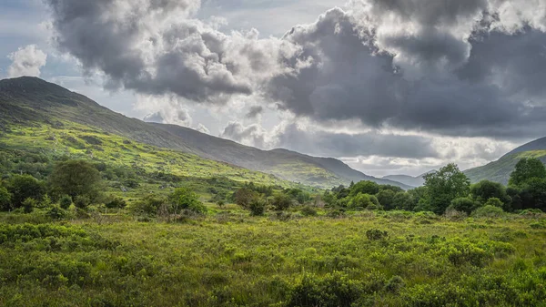 Oodlade gröna ängar och fält i Molls Gap, MacGillycuddys Stinkar berg — Stockfoto