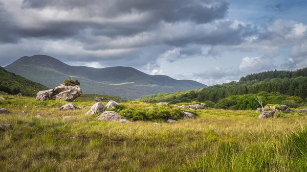 Rough landscape with massive boulders, meadow and forest, illuminated by sunlight in MacGillycuddys Reeks mountains — Stock Photo, Image