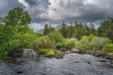Owenreagh River and forest in Molls Gap at MacGillycuddys Reeks mountains clipart