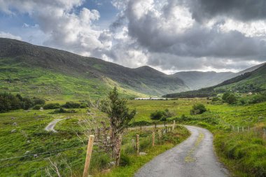 Kara Vadi 'ye giden dolambaçlı köy yolu, Kerry Halkası