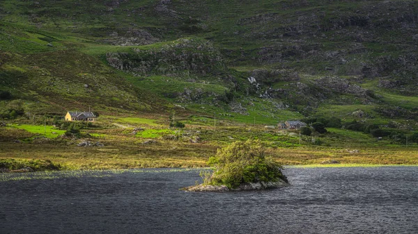 Pequena ilha rochosa coberta de árvores torcidas em Lough Gummeenduff, Anel de Kerry — Fotografia de Stock