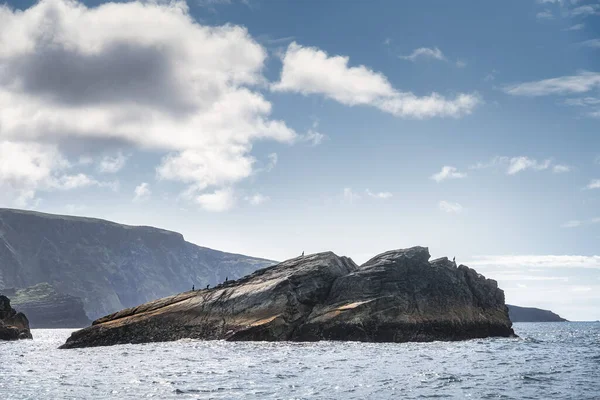 Silhuett av skarvfåglar sitter på en klippa med Kerry Cliffs i bakgrunden — Stockfoto