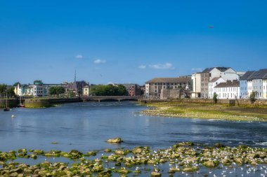 Nilüferlerle dolu sığ halterler, nilüfer yaprakları ve yosunlarla benekli alçak deniz manzarası, çimenli toprak setleri ve uzak rıhtım boyunca uzanan pastel salyangozlar, yumuşak bulutlar ve sıcak güneş ışığı.,