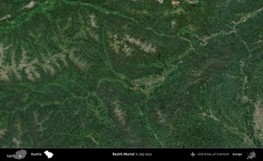 Bezirk Murtal. Temmuz 2022 'de çekilen Global Mozaik Sentinel-2 karolarından oluşan bir uydu görüntüsü üzerine Avusturya' nın idari bölgesi
