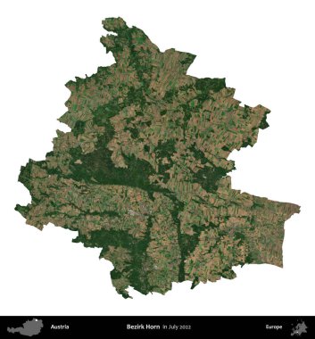 Bezirk Boynuzu. Avusturya idari bölgesi, Temmuz 2022 'de çekilen Global Mozaik Sentinel-2 karolarından oluşan bir uydu görüntüsü üzerinde beyaza izole edildi.