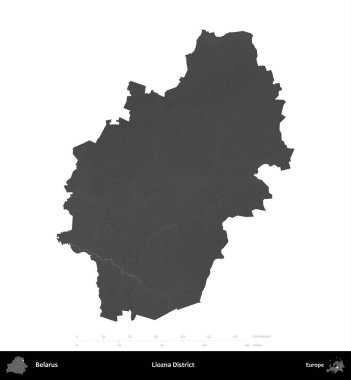 Liozna Bölgesi. Belarus 'un idari alanı gri ölçekli yükseklik haritasında beyaza izole edildi